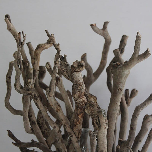 lampe-de-chevet-bois-flotte