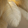 lampe-plumes-dautruche