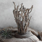 lampe-de-chevet-bois-flotte